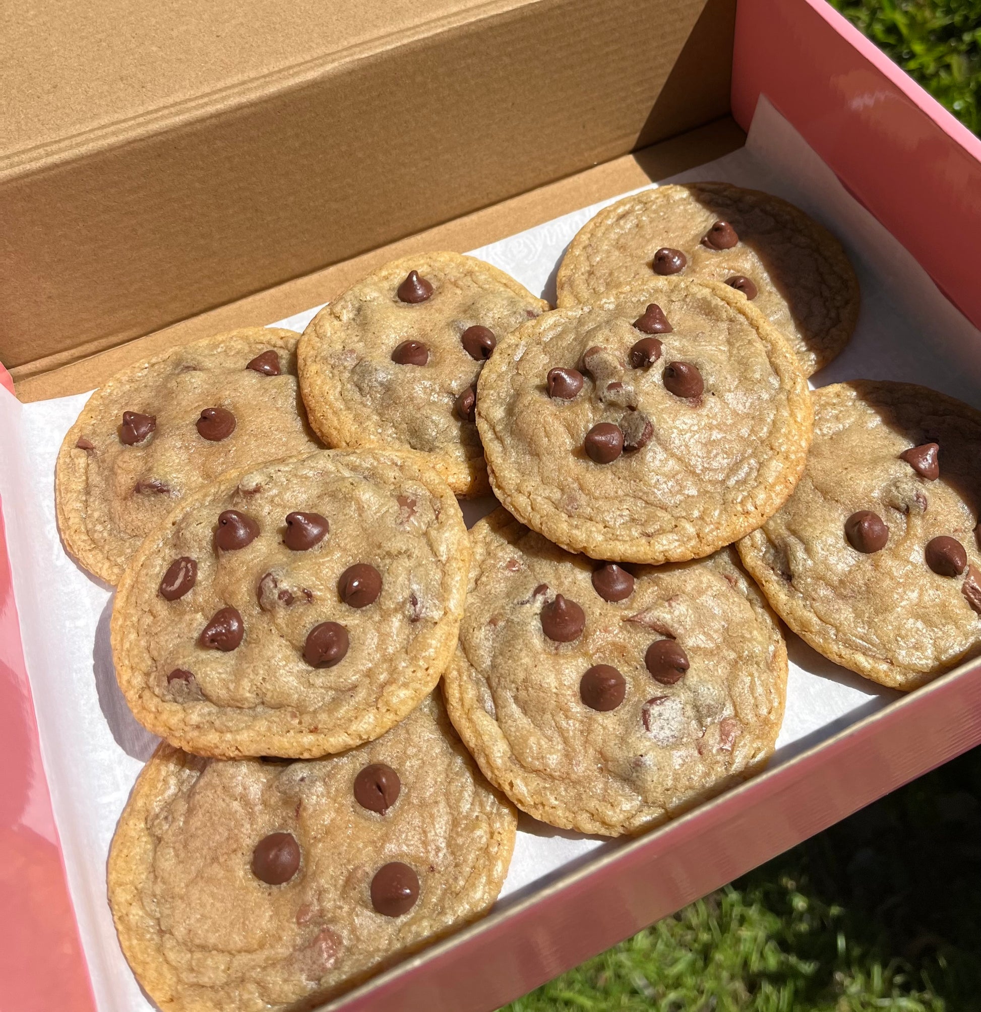 Chocolate Chip Cookies